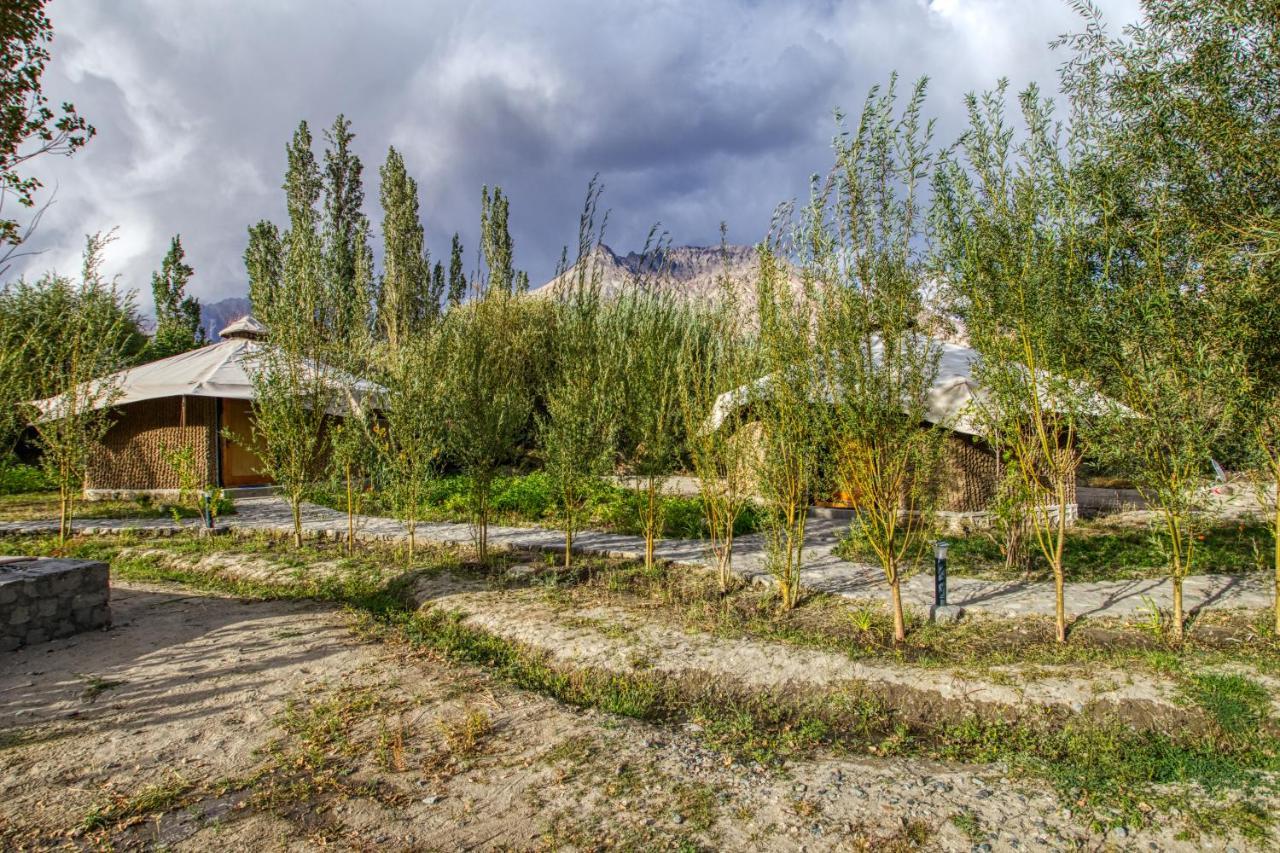 Chalet Seabuckthorn - Hunder Hundar Екстериор снимка